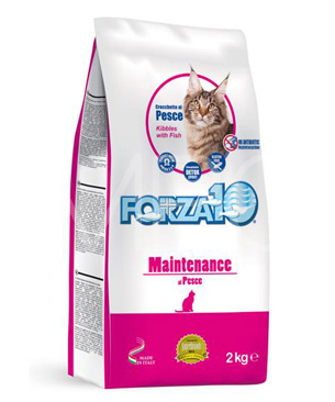 フォルツァ10 CAT レギュラーメンテナンスフィッシュ フォルツァ10 CAT レギュラーメンテナンスフィッシュ