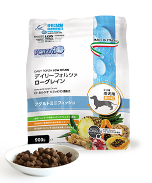 フォルツァ10 デイリーフォルツァ ミニ フィッシュ フォルツァ10 デイリーフォルツァ ミニ フィッシュ