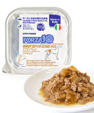 フォルツァ10 アクティウェット ウリナリー(泌尿器ケア)100g フォルツァ10 アクティウェット ウリナリー(泌尿器ケア)100g