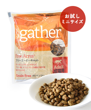 ギャザー CAT フリーエーカー お試しミニサイズ 50g ギャザー CAT フリーエーカー お試しミニサイズ 50g
