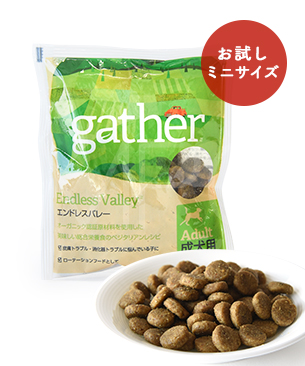 ギャザー DOG エンドレスバレー お試しミニサイズ 50g ギャザー DOG エンドレスバレー お試しミニサイズ 50g