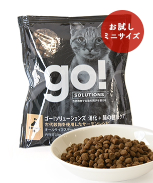 ゴー CAT 消化+腸の健康ケア サーモン お試しミニサイズ 30g ゴー CAT 消化+腸の健康ケア サーモン お試しミニサイズ 30g