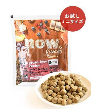 ナウフレッシュ DOG グレインフリー フィッシュアダルト お試しミニサイズ 50g ナウフレッシュ DOG グレインフリー フィッシュアダルト お試しミニサイズ 50g