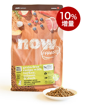ナウフレッシュ 【数量限定品】 グレインフリースモールブリード パピー 10%増量880g ナウフレッシュ 【数量限定品】 グレインフリースモールブリード パピー 10%増量880g