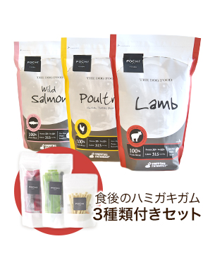 POCHI ザ・ドッグフード ベーシック ローテーションセット 食後のハミガキガム付きセット POCHI ザ・ドッグフード ベーシック ローテーションセット 食後のハミガキガム付きセット