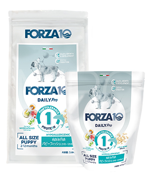 フォルツァ10 DOG デイリープロ パピー フォルツァ10 DOG デイリープロ パピー