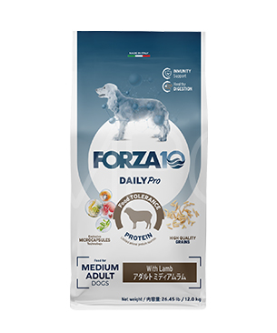 フォルツァ10 DOG デイリープロ アダルトミディアム ラム 12kg フォルツァ10 DOG デイリープロ アダルトミディアム ラム 12kg