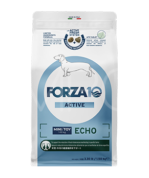 フォルツァ10 エコーアクティブ ミニ(耳ケア) フォルツァ10 エコーアクティブ ミニ(耳ケア)