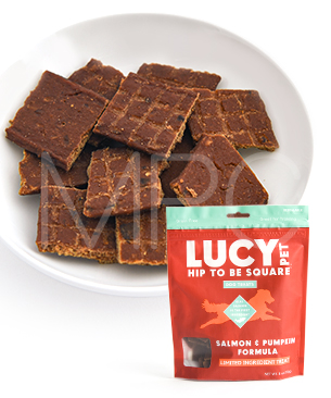 ルーシーペット DOG ヒップトゥービースクエア ドッグトリーツ サーモン&パンプキン 170g ルーシーペット DOG ヒップトゥービースクエア ドッグトリーツ サーモン&パンプキン 170g