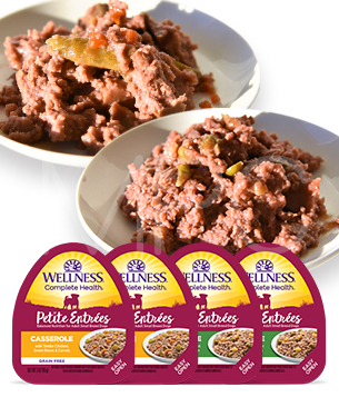 ウェルネス 【数量限定品】 プチアントレ 柔らか煮込みチキン アソートセット 85g 2種セット ウェルネス 【数量限定品】 プチアントレ 柔らか煮込みチキン アソートセット 85g 2種セット