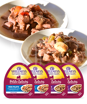 ウェルネス【数量限定品】プチアントレグレービー仕立てチキン アソートセット 85g 2種セット ウェルネス【数量限定品】プチアントレグレービー仕立てチキン アソートセット 85g 2種セット